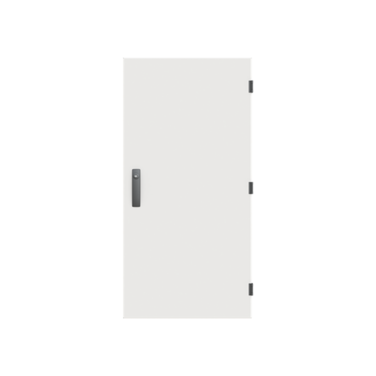 Door, 1093 mm x 539 mm x 27 mm, IP55