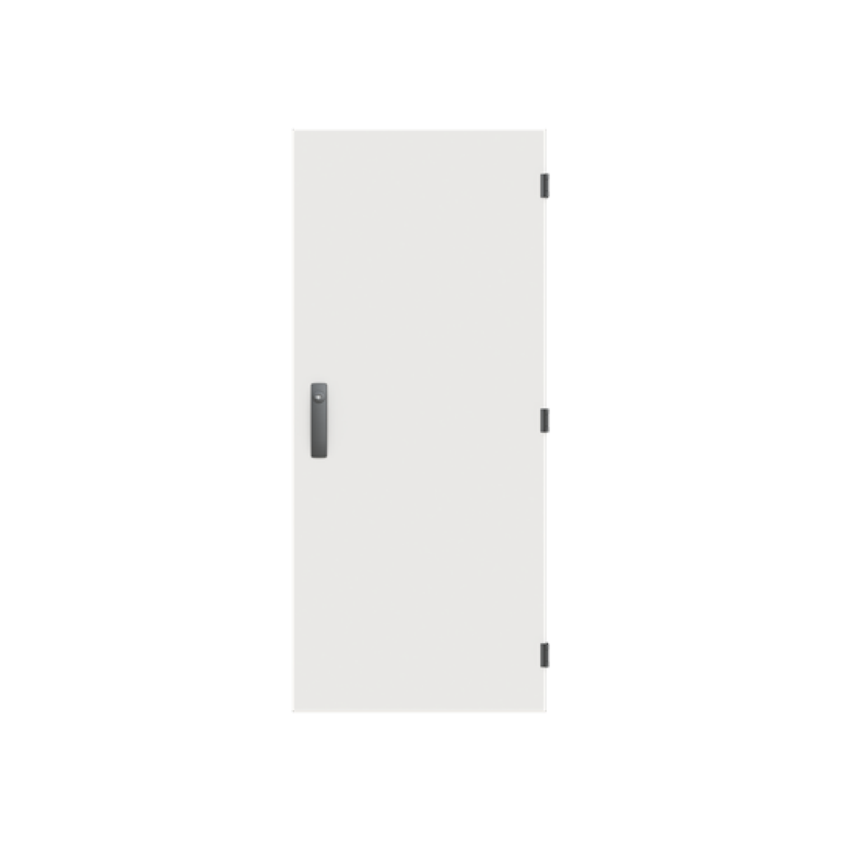 Door, 1243 mm x 539 mm x 27 mm, IP55