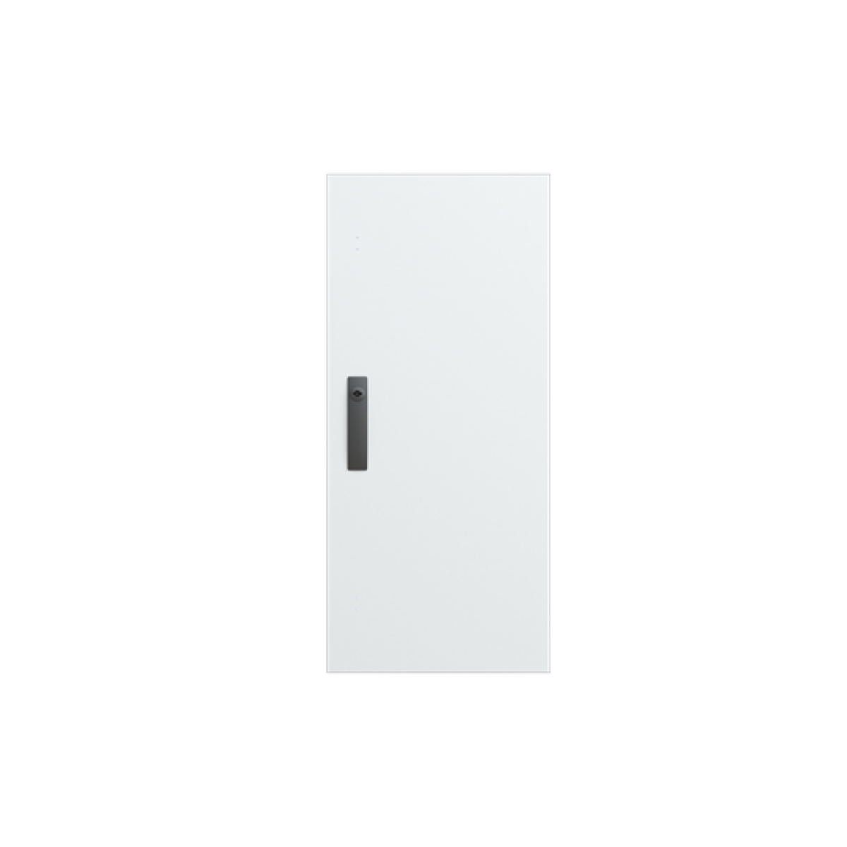 Door, 842 mm x 377 mm x 250 mm, IP55