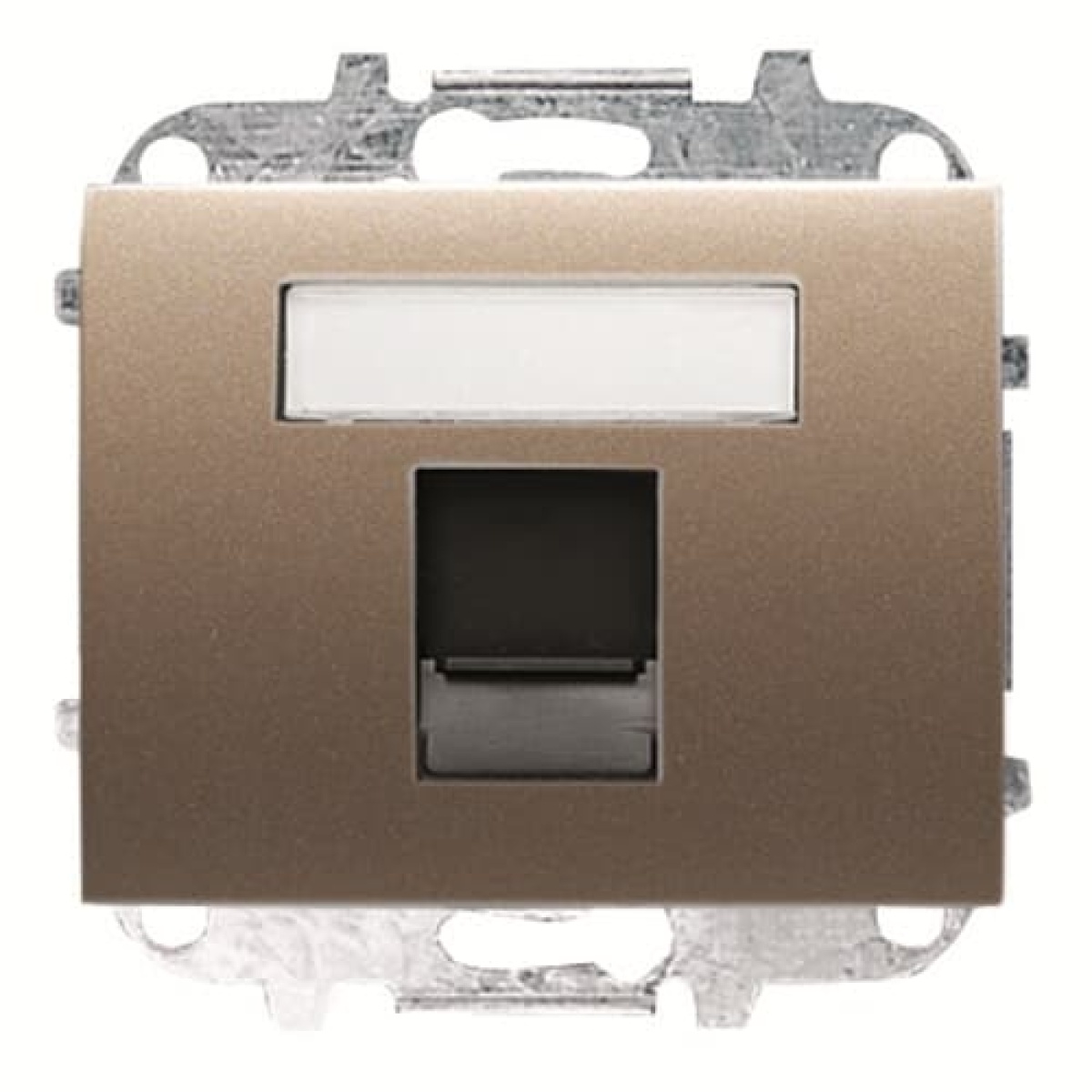 Cover data Data connection 1 gang Brass - Olas