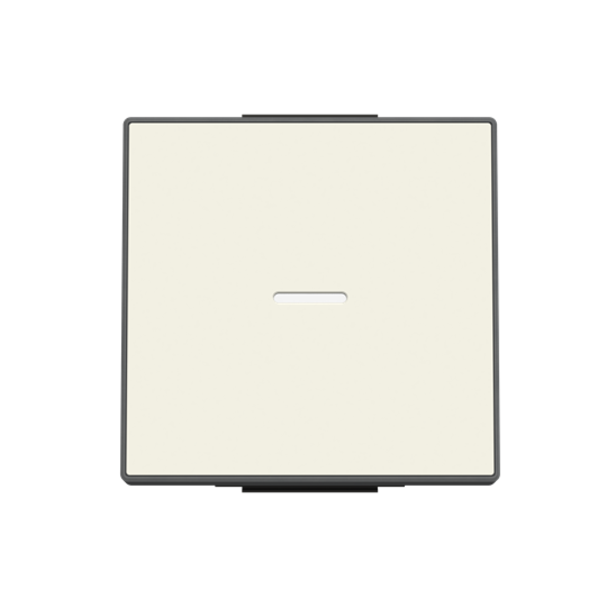 Rocker Without imprint for Switchpush button, Single rocker White - Sky Niessen