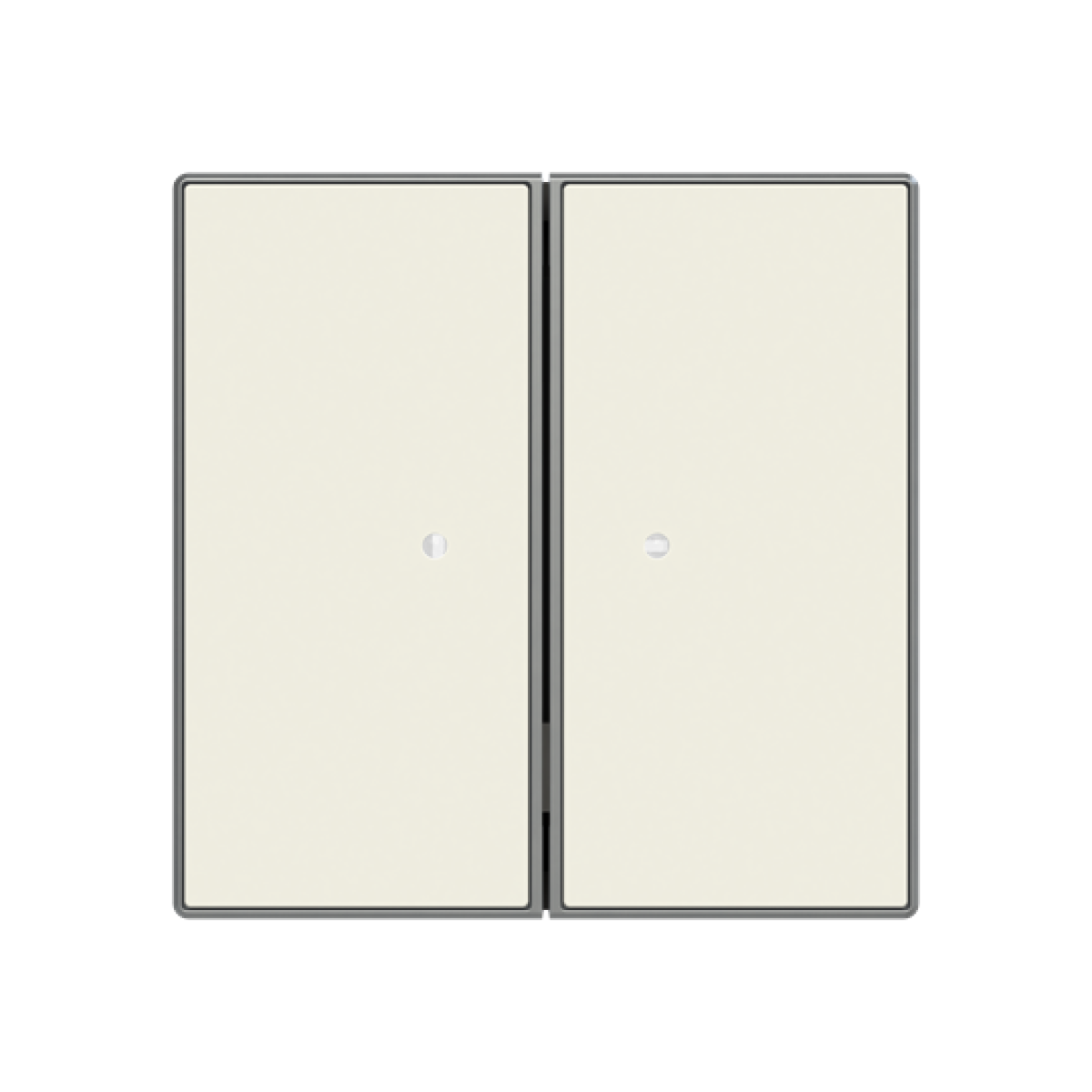 RF switch 2 channel Radio Control White - Sky Niessen