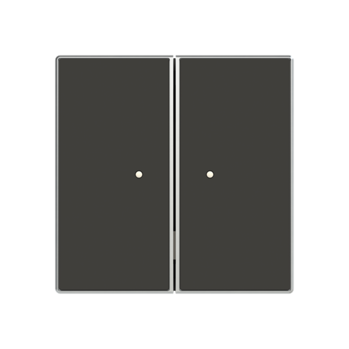 RF switch 2 channel Radio Control Black - Sky Niessen