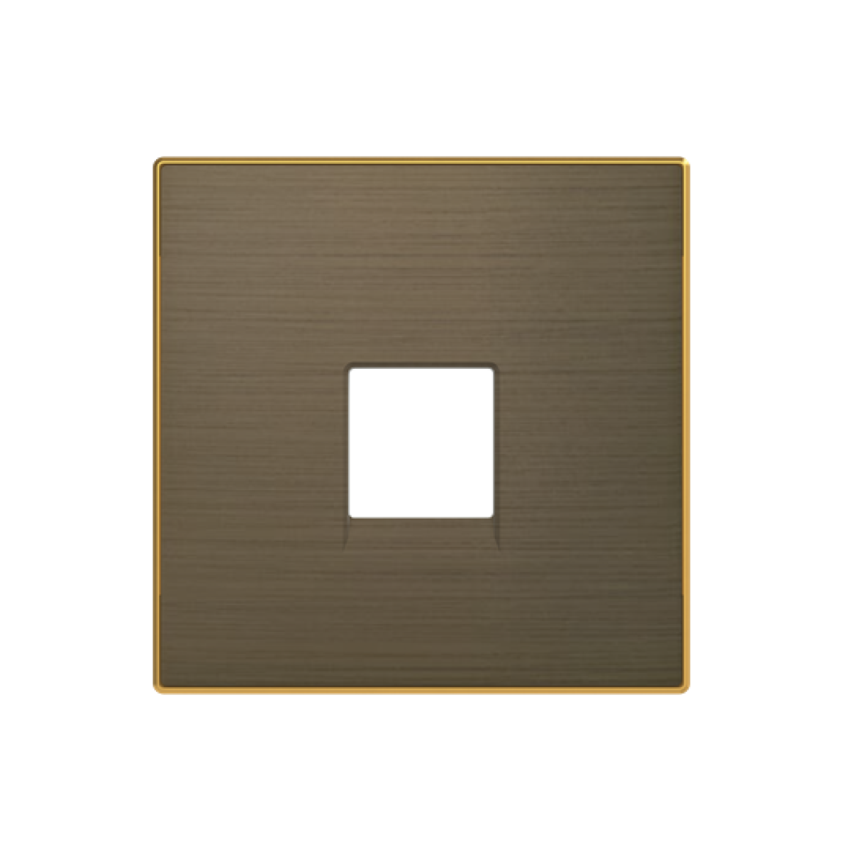 Cover plate Data connection 1 gang Gold - Sky Niessen