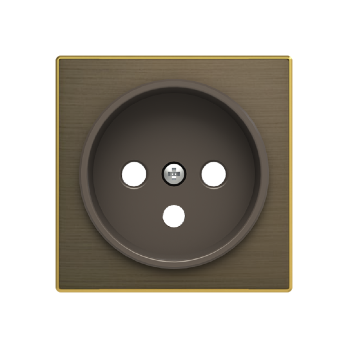 Cover socket outlet Without imprint Gold - Sky Niessen