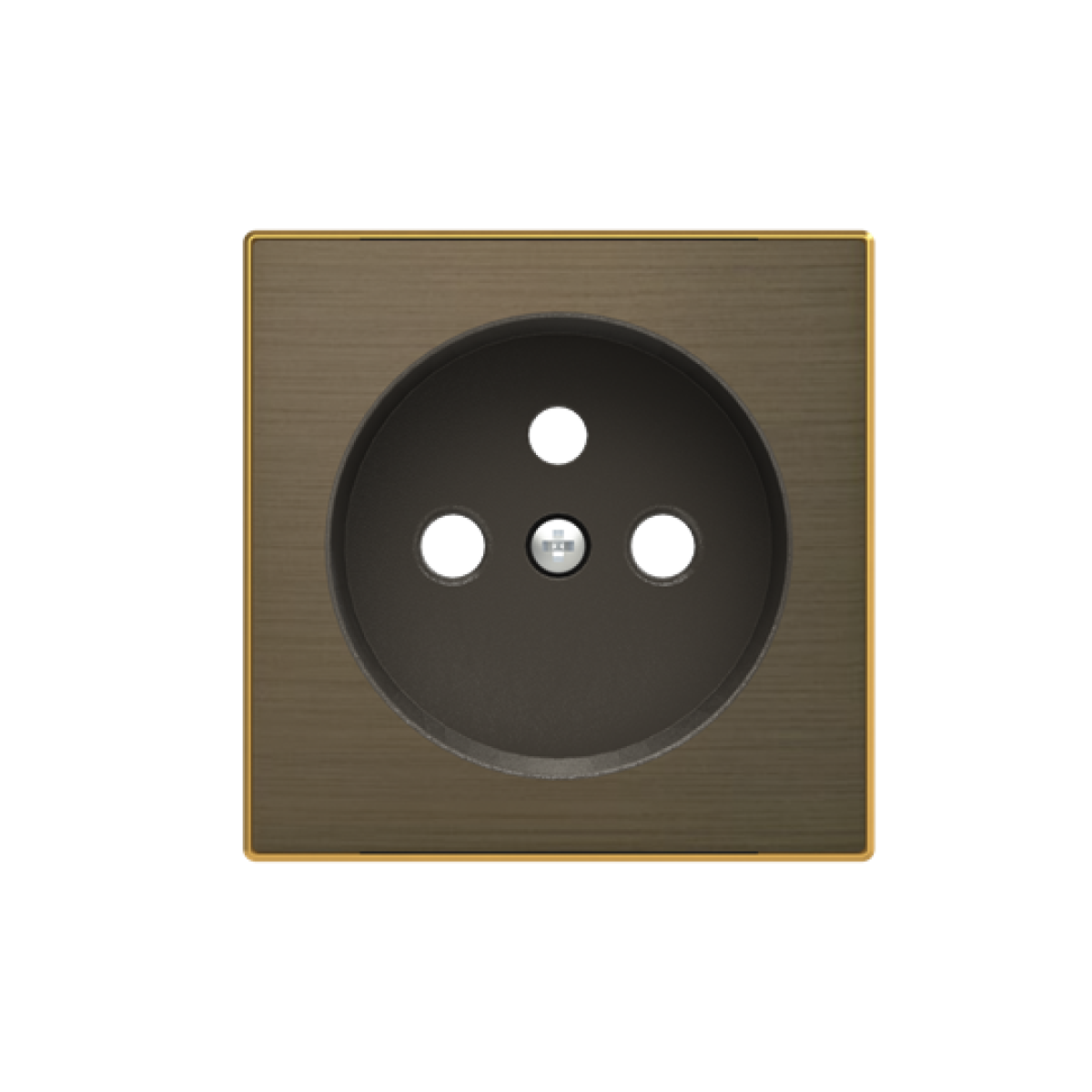 Cover socket outlet Without imprint Gold - Sky Niessen