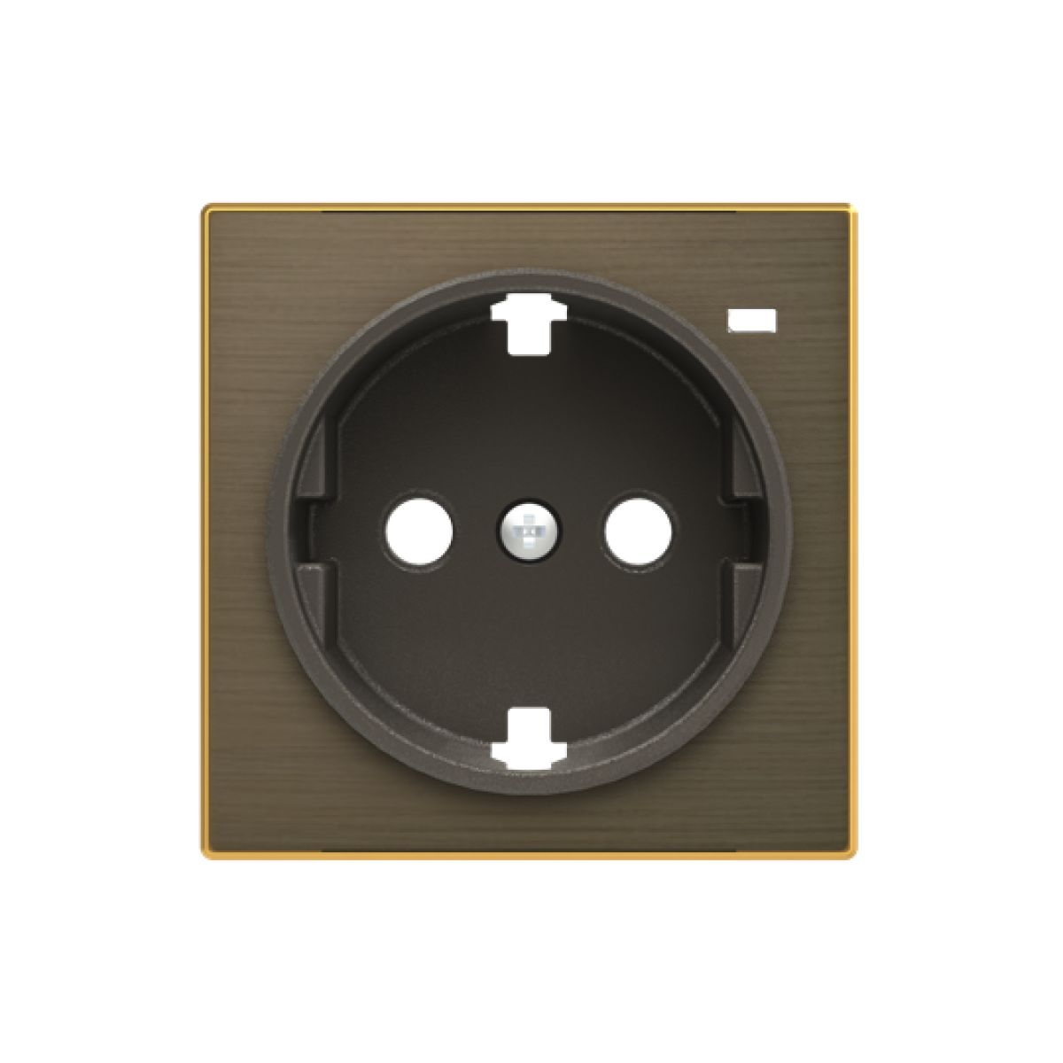 Cover socket outlet Without imprint Gold - Sky Niessen