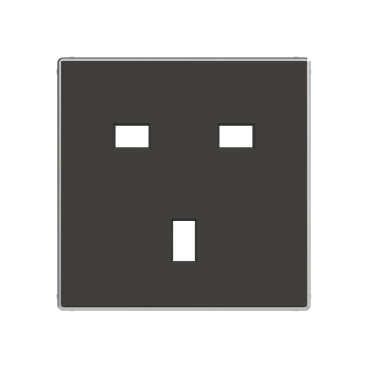 Cover socket outlet Without imprint Black - Sky Niessen