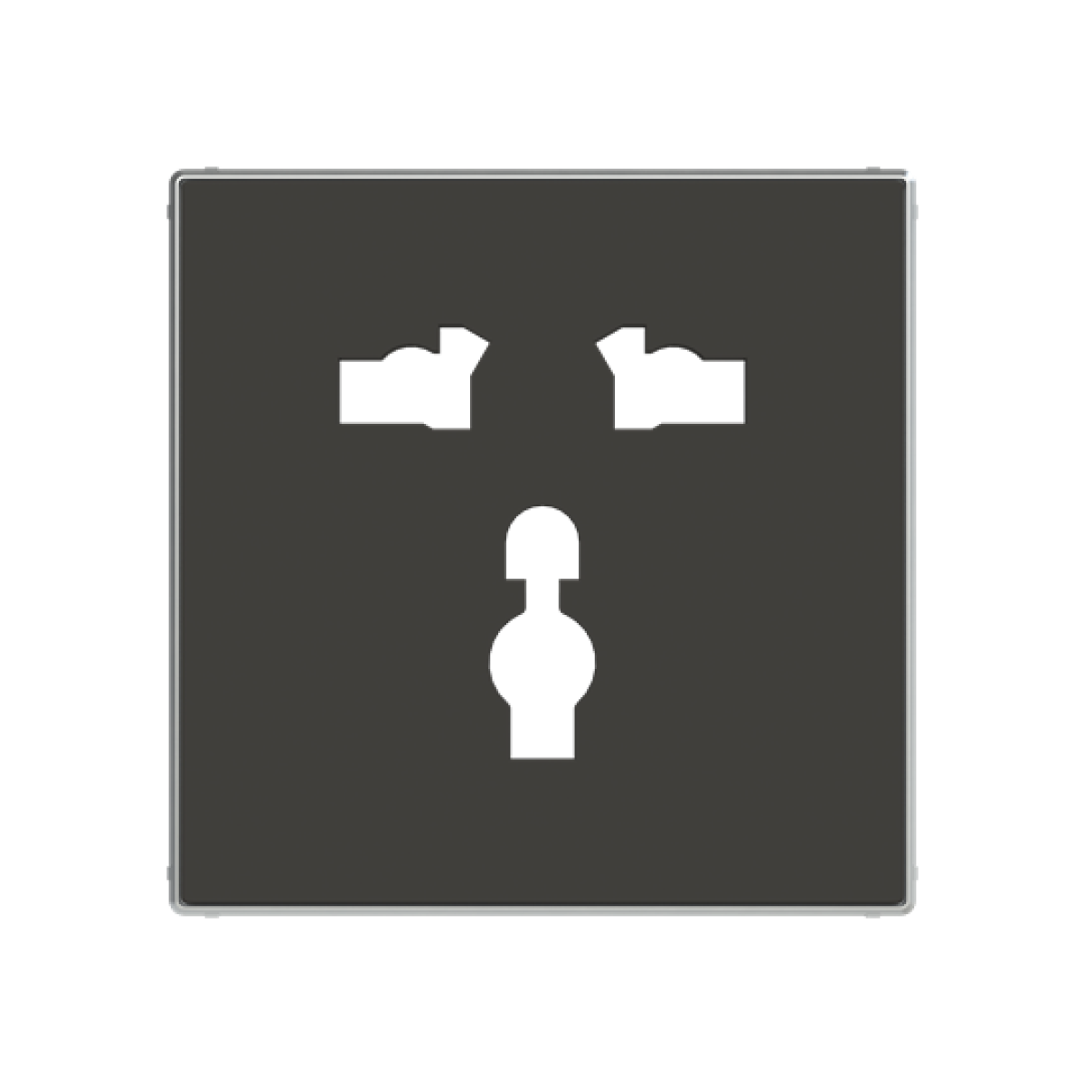 Cover socket outlet Without imprint Black - Sky Niessen