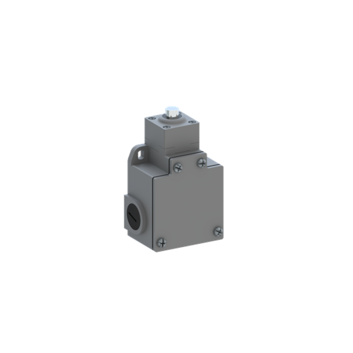 LS60M11B11 Limit Switch