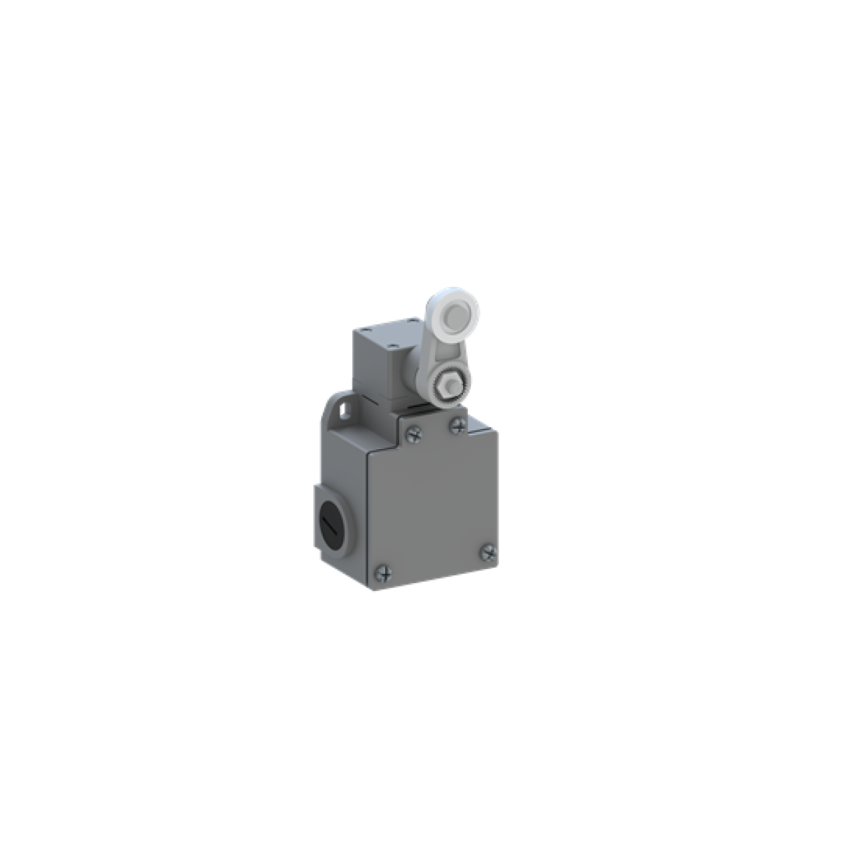 LS60M42B11 Limit Switch