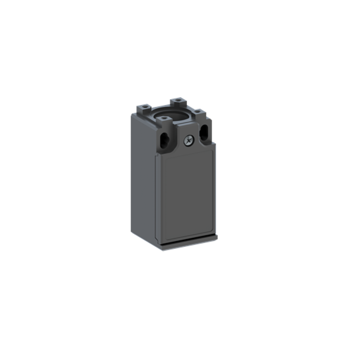 LS30P00B11 Limit Switch