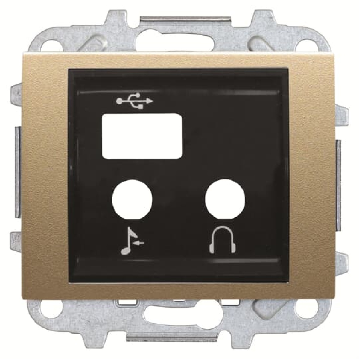 Cover IOUSBBT module 2M USB Central cover plate Beige - Olas