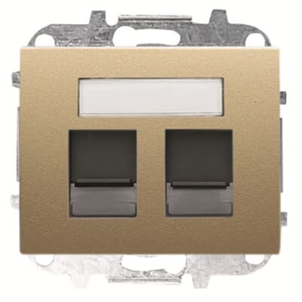 Cover plate double data outlet Data connection 1 gang Beige - Olas