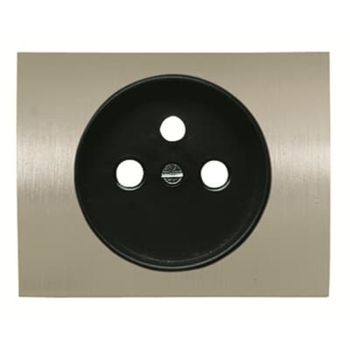 Cover socket French Central cover plate for Wall socket Without imprint Aluminium - Olas