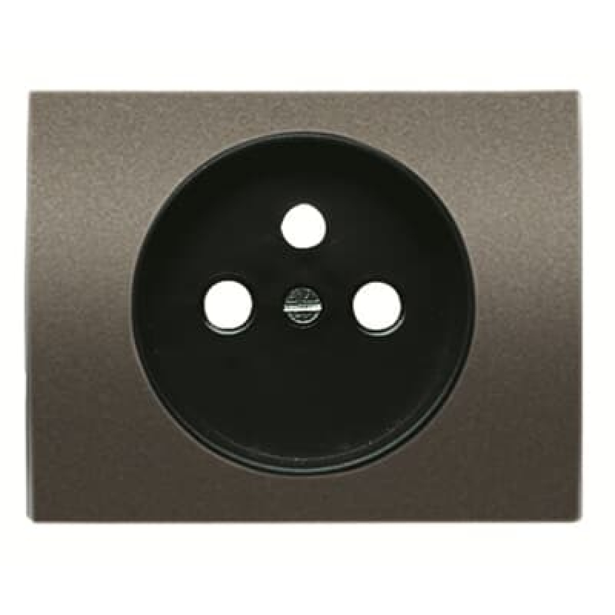 Cover socket French Central cover plate for Wall socket Without imprint Aluminium - Olas