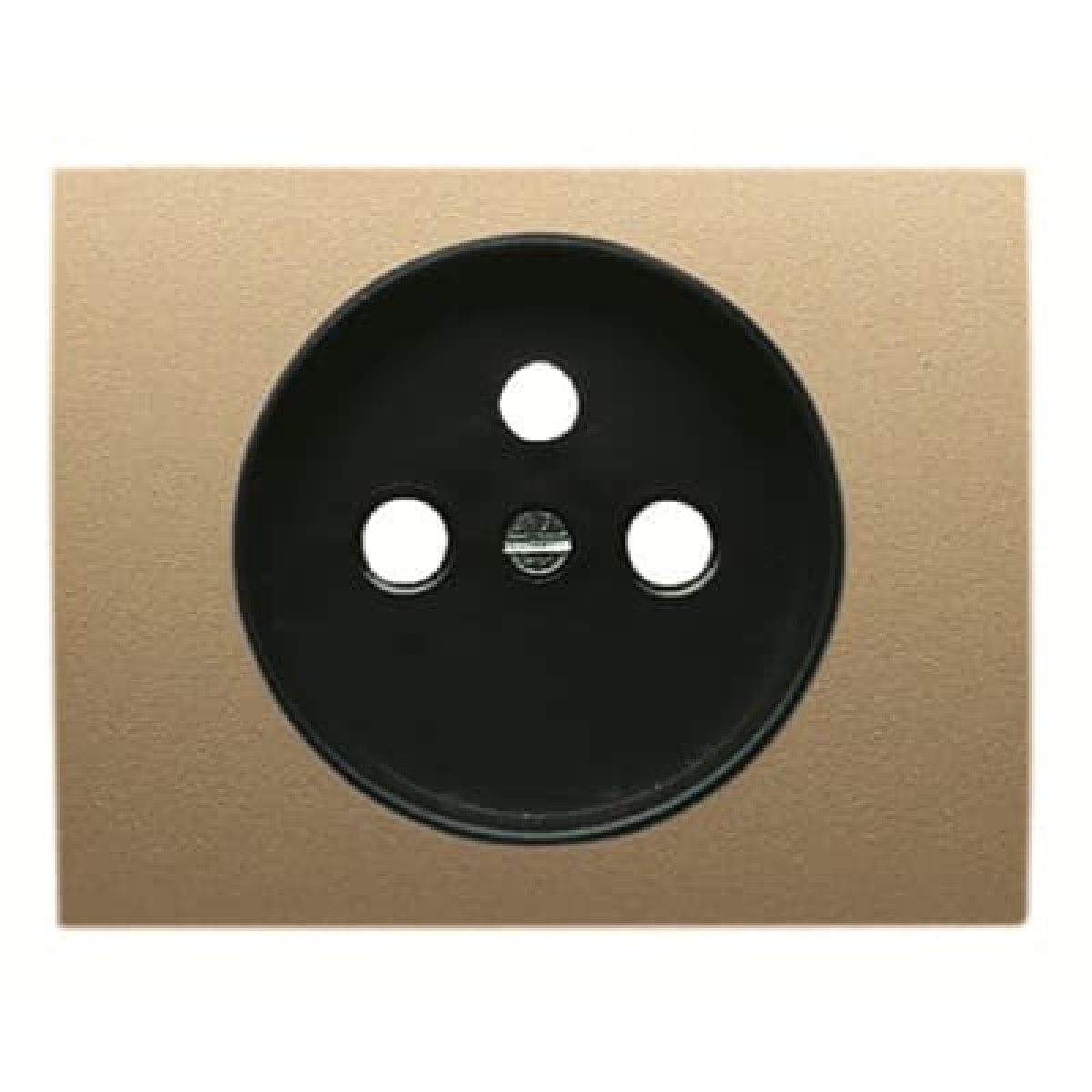Cover socket French Central cover plate for Wall socket Without imprint Beige - Olas