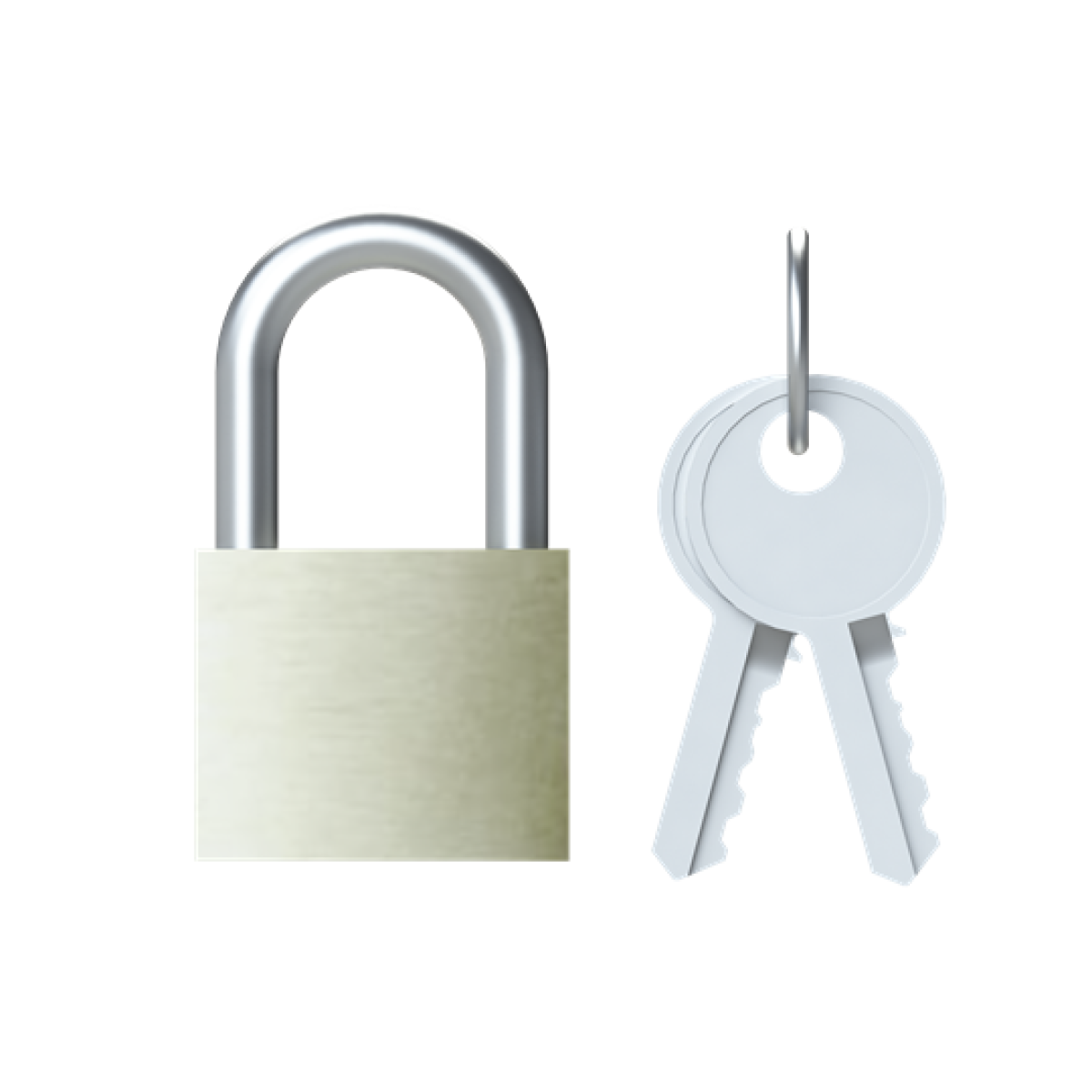 SA 2 Padlock with 2 keys