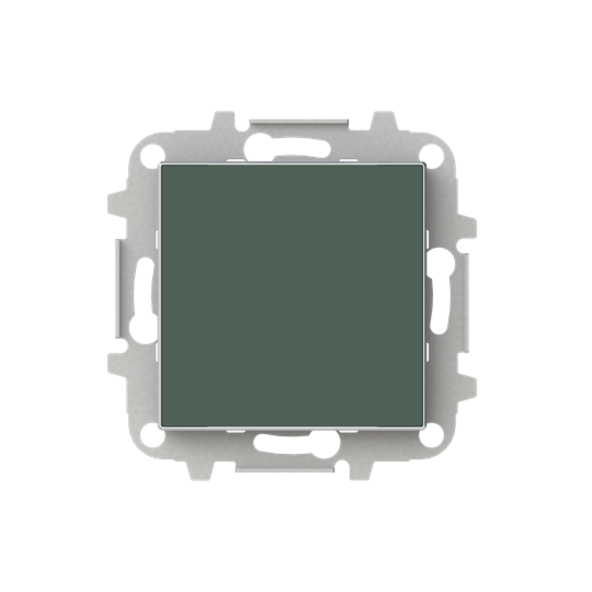 Cover Blind plate with Without imprint Green - Sky Niessen