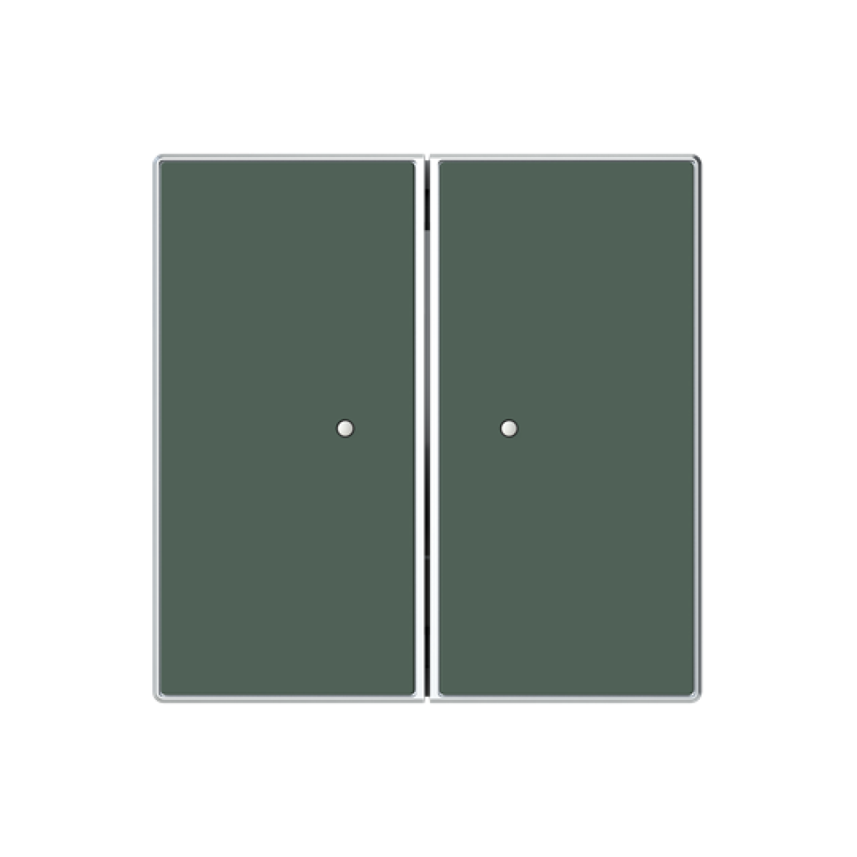 RF switch Green - Sky Niessen