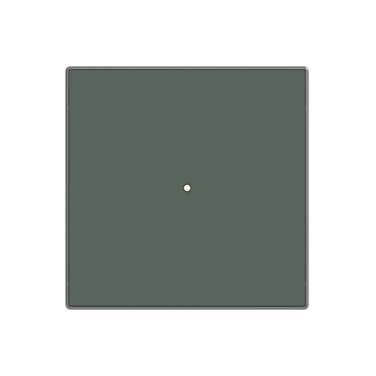 RF switch Green - Sky Niessen