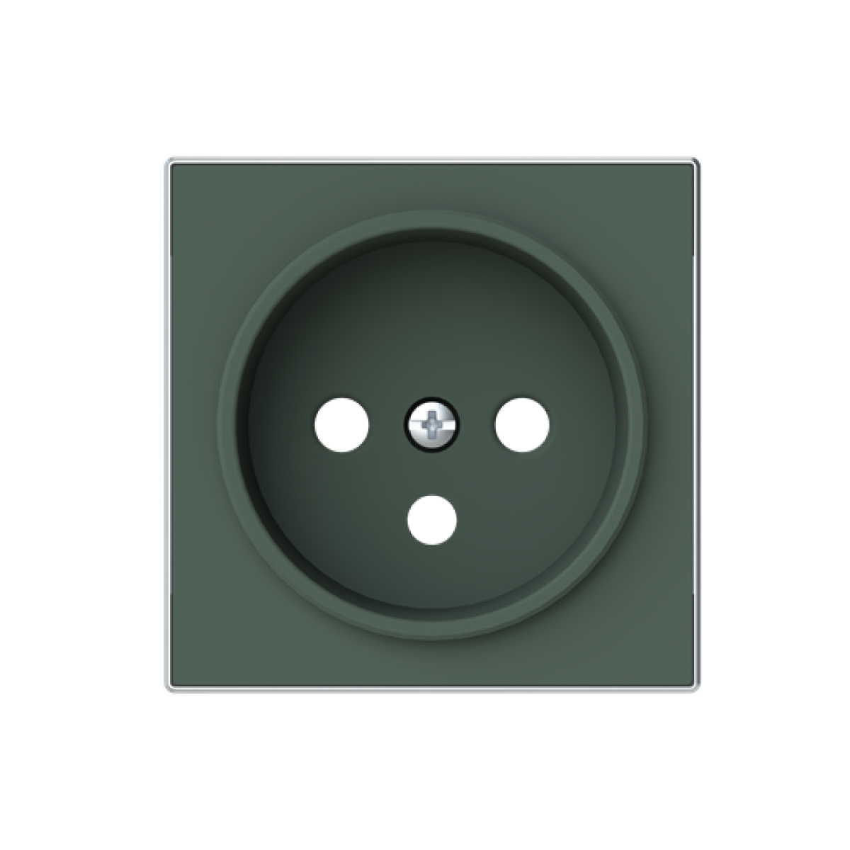 Cover socket outlet Without imprint Green - Sky Niessen