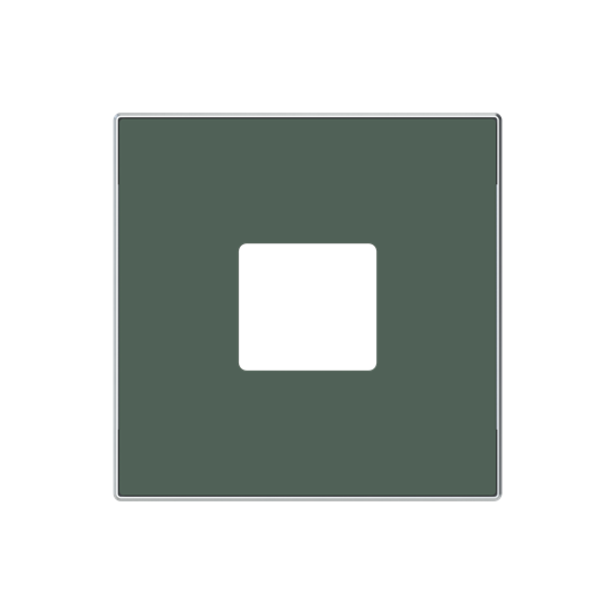 Cover USB charger Green - Sky Niessen