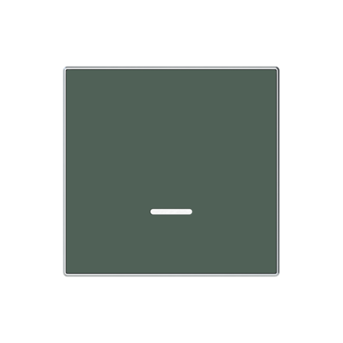 Cover plate Time indication for Time switch Central cover plate Green - Sky Niessen