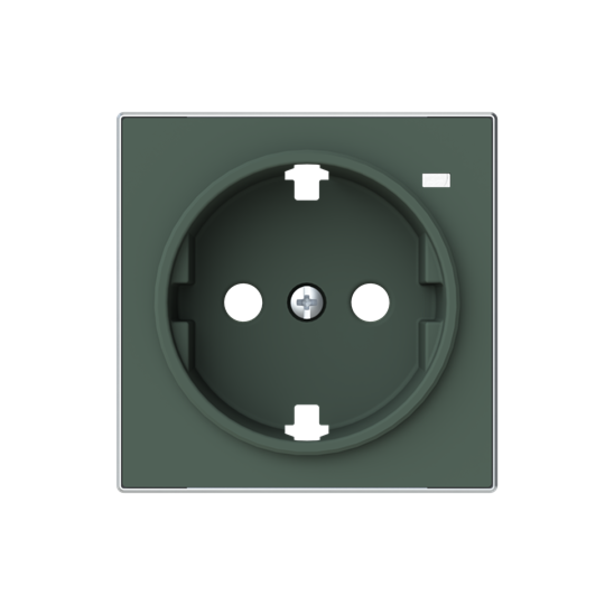 Cover socket outlet Without imprint Green - Sky Niessen