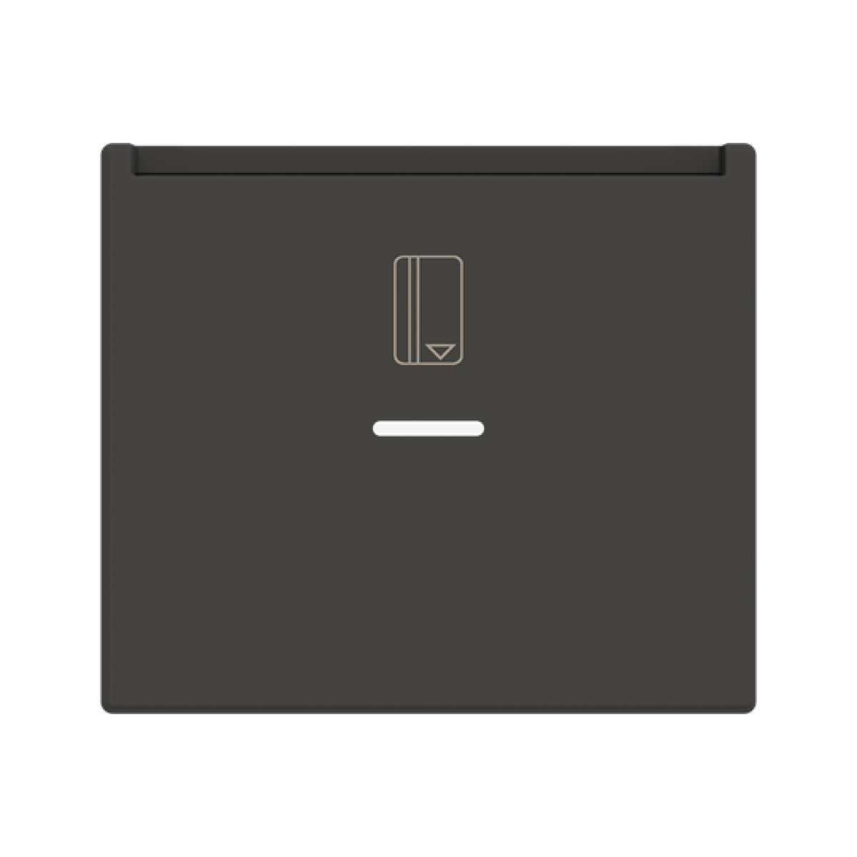 Rocker Without imprint for Switchpush button Hotel card Black - Sky Niessen