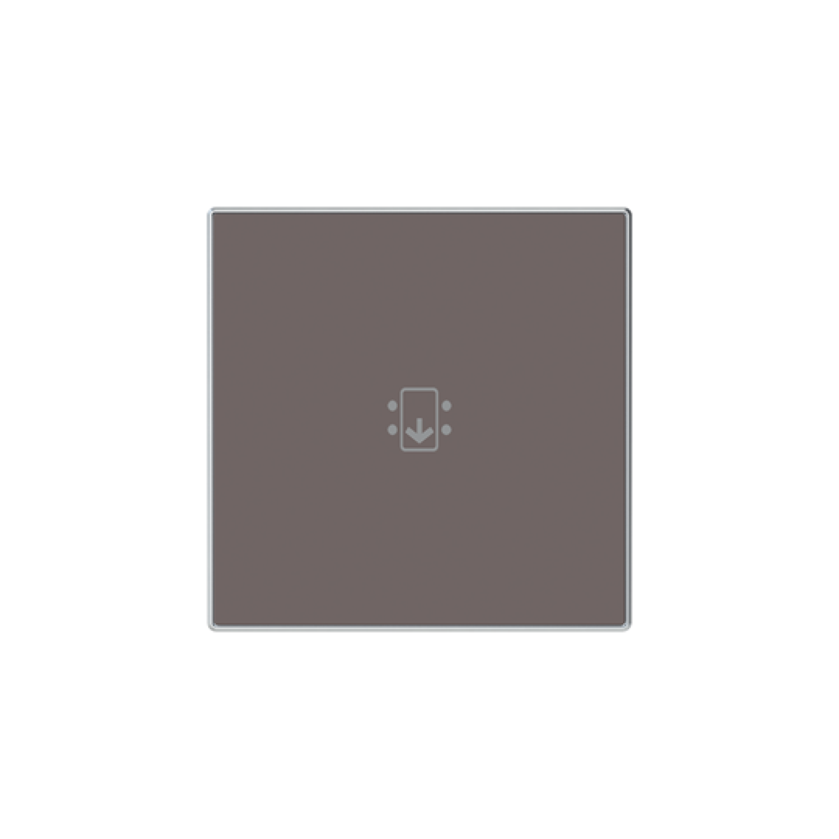 Rocker Symbol "keydoor" for Switchpush button Hotel card Taupe - Sky Niessen