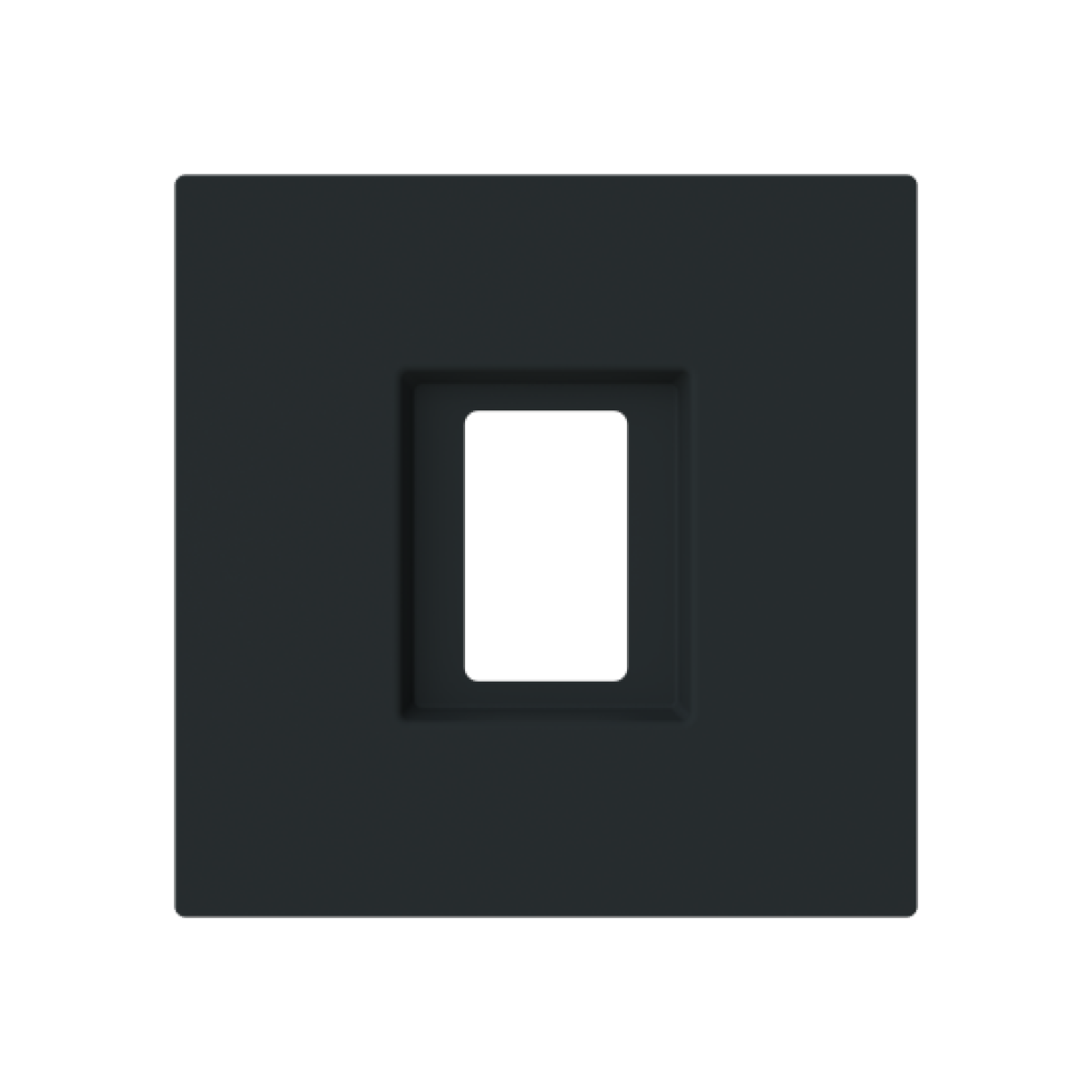 Cover plate For data connection housing 1 gang Black - Alba