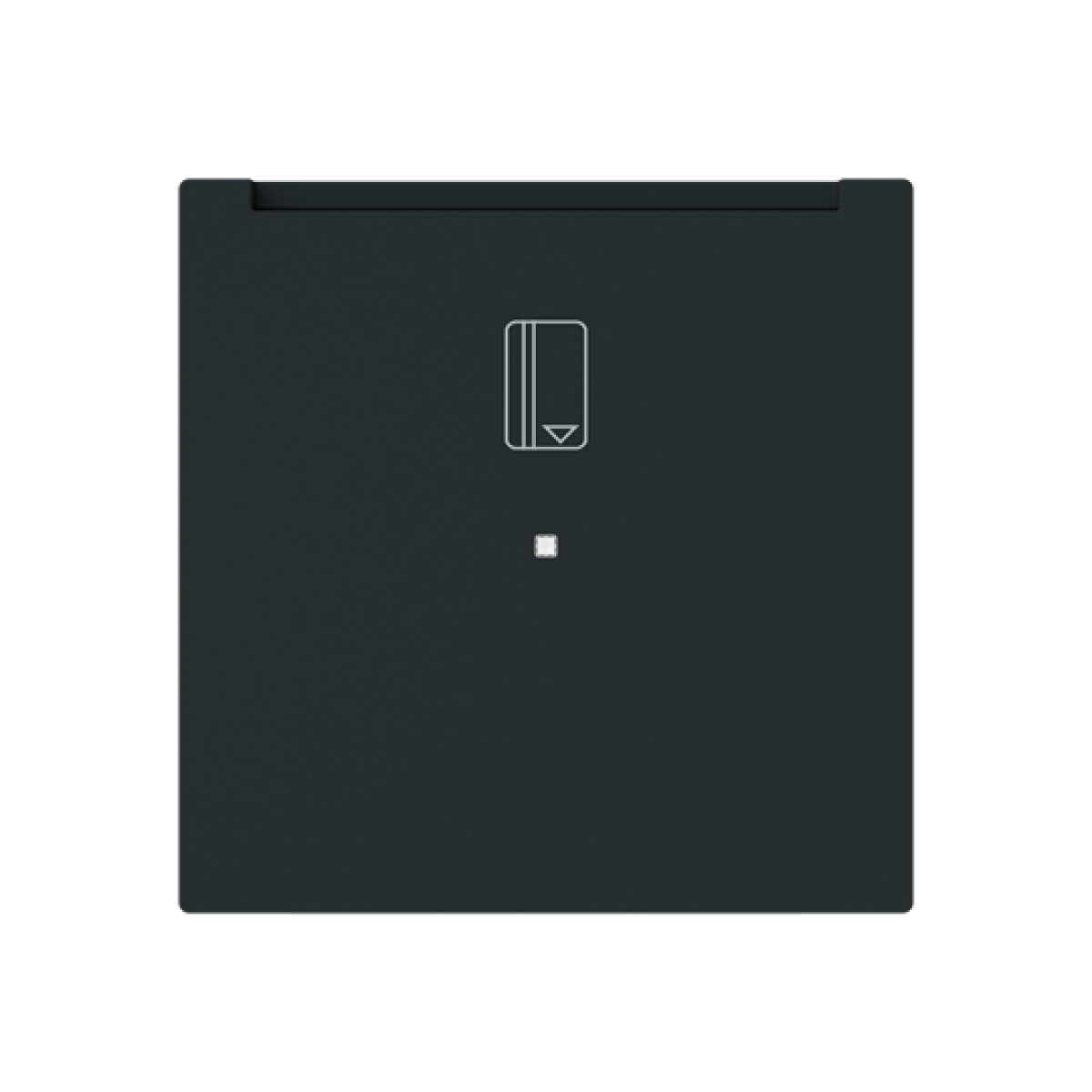 Rocker Symbol "keydoor" for Switchpush button Hotel card Black - Alba
