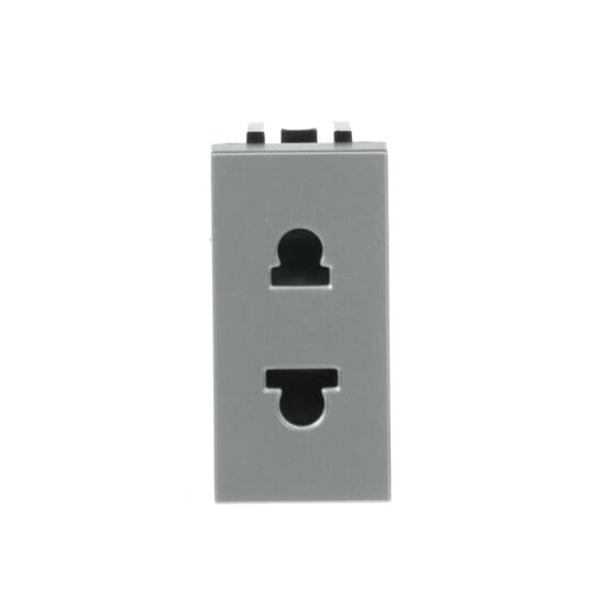 Socket outlet insertcover Without imprint Silver - Zenit