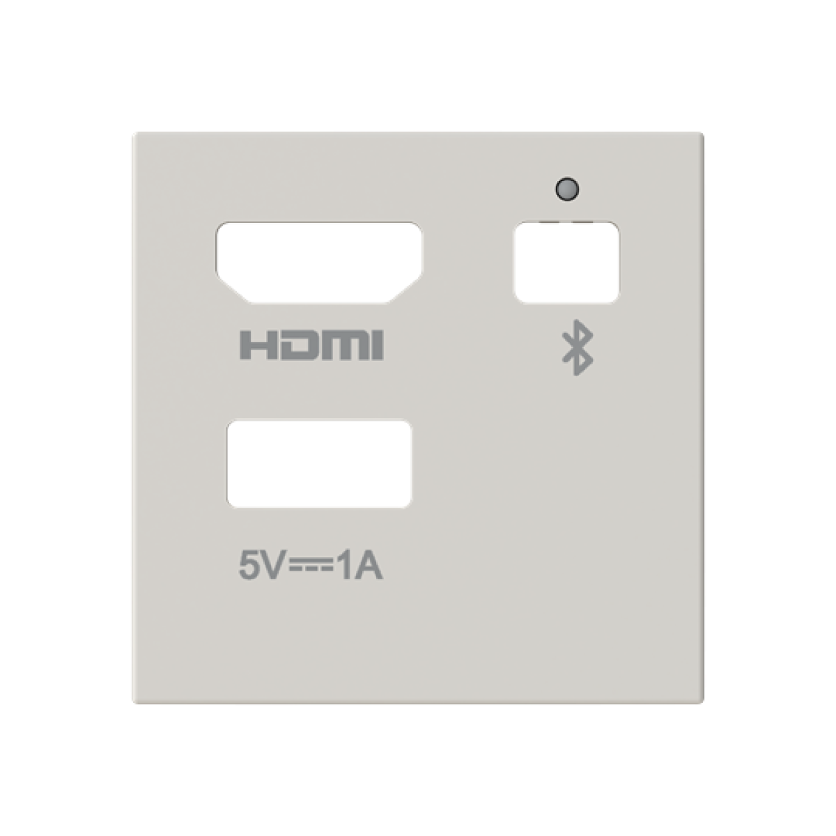 Cover plate Usb with Multimedia Dune - Zenit