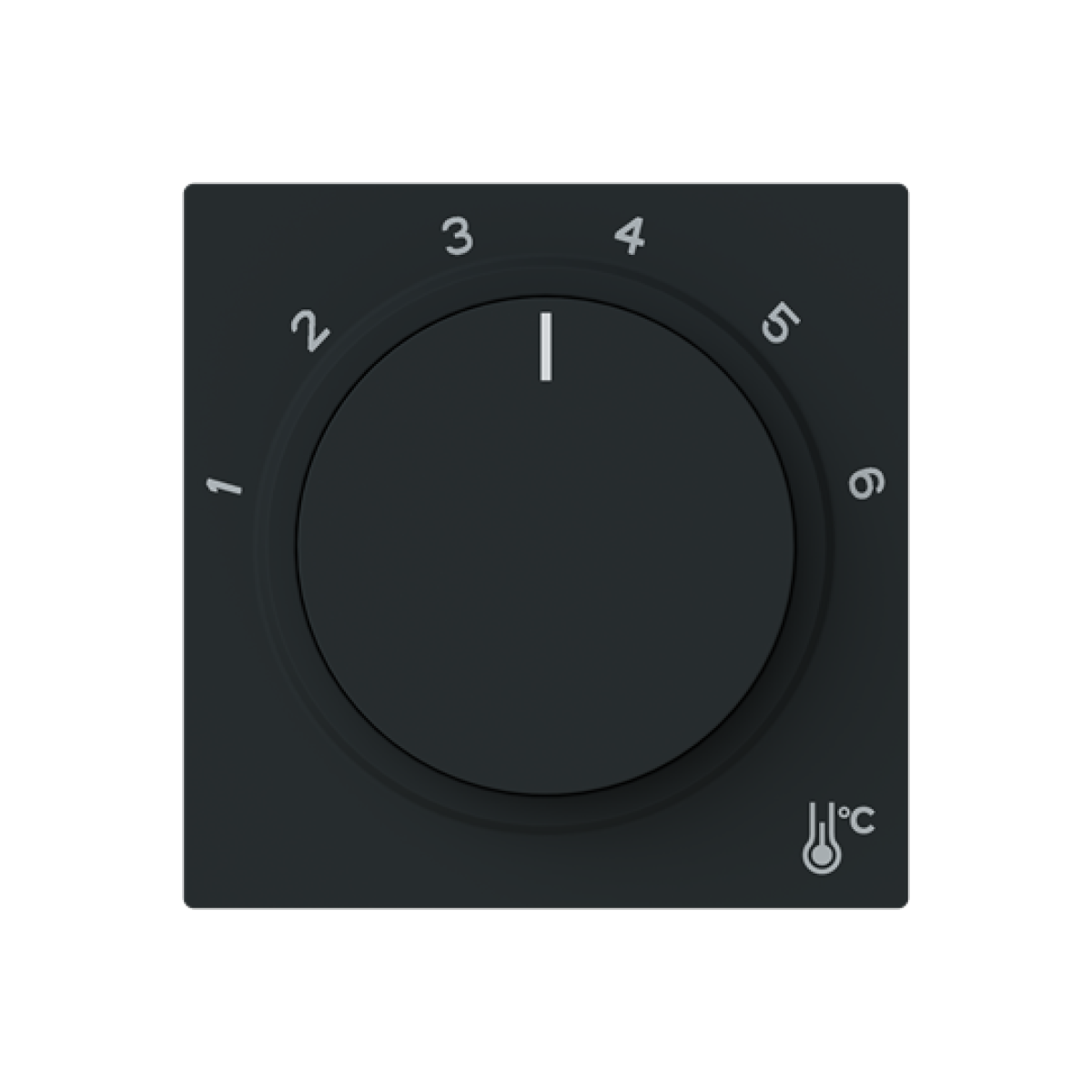 Cover plate None for Thermostat Central cover plate Black - Alba