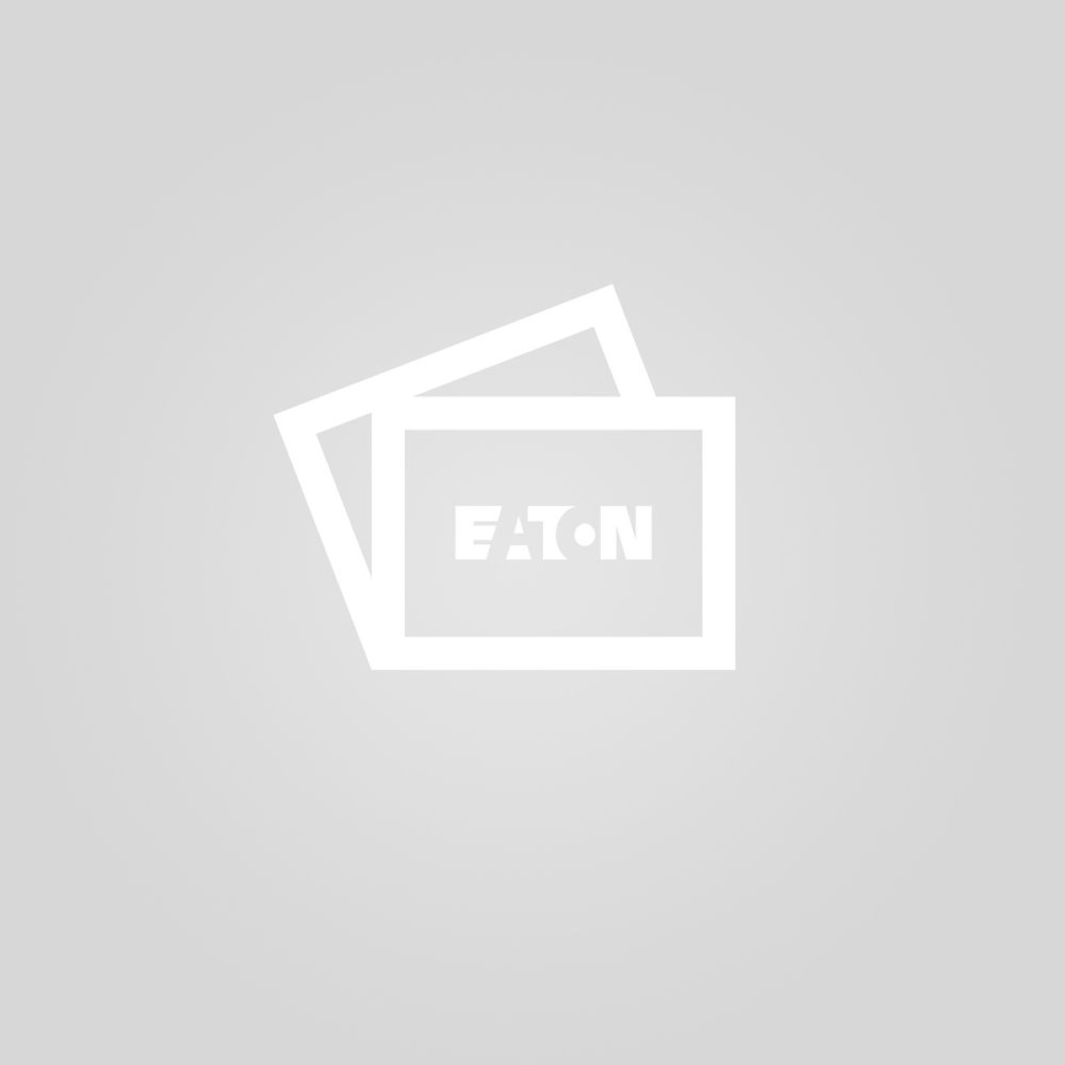 V-CG-S2 single packing