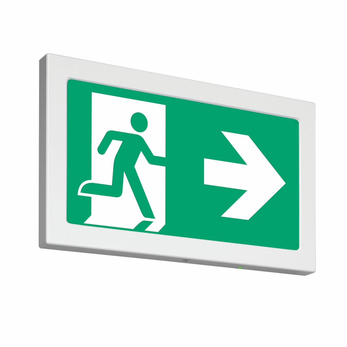 BRITESIGN SLAVE 230V BODY  CEAG ALUM