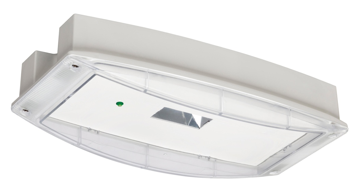 i-P65 Plus H 1H CW INTELEM, PC
