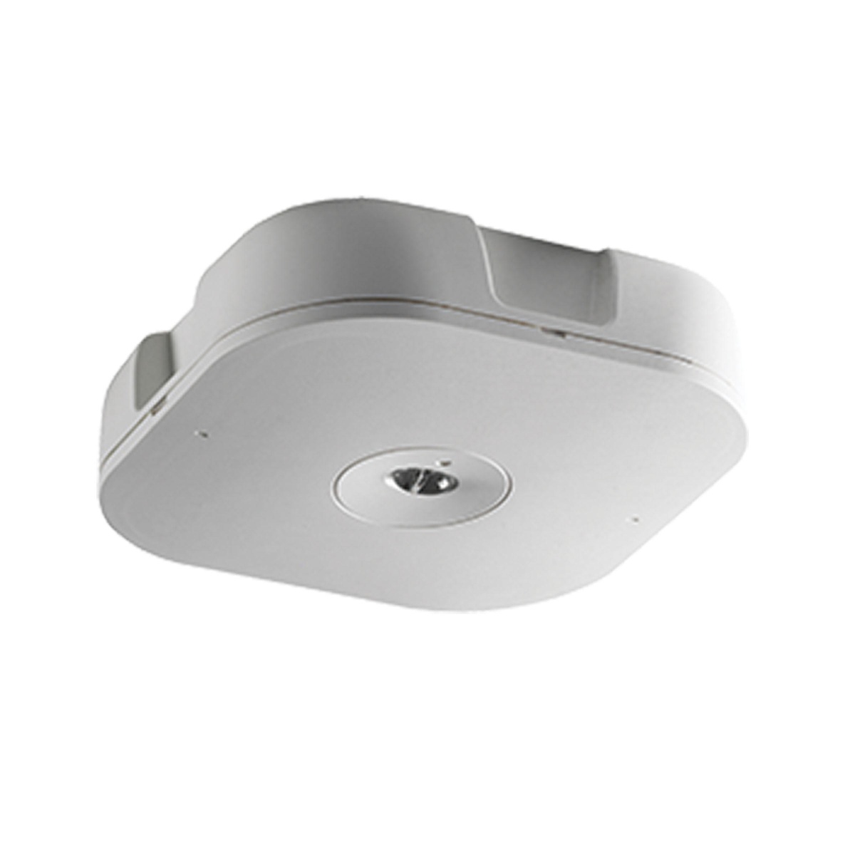 MP2 SURFACE 230V SLAVE OPEN