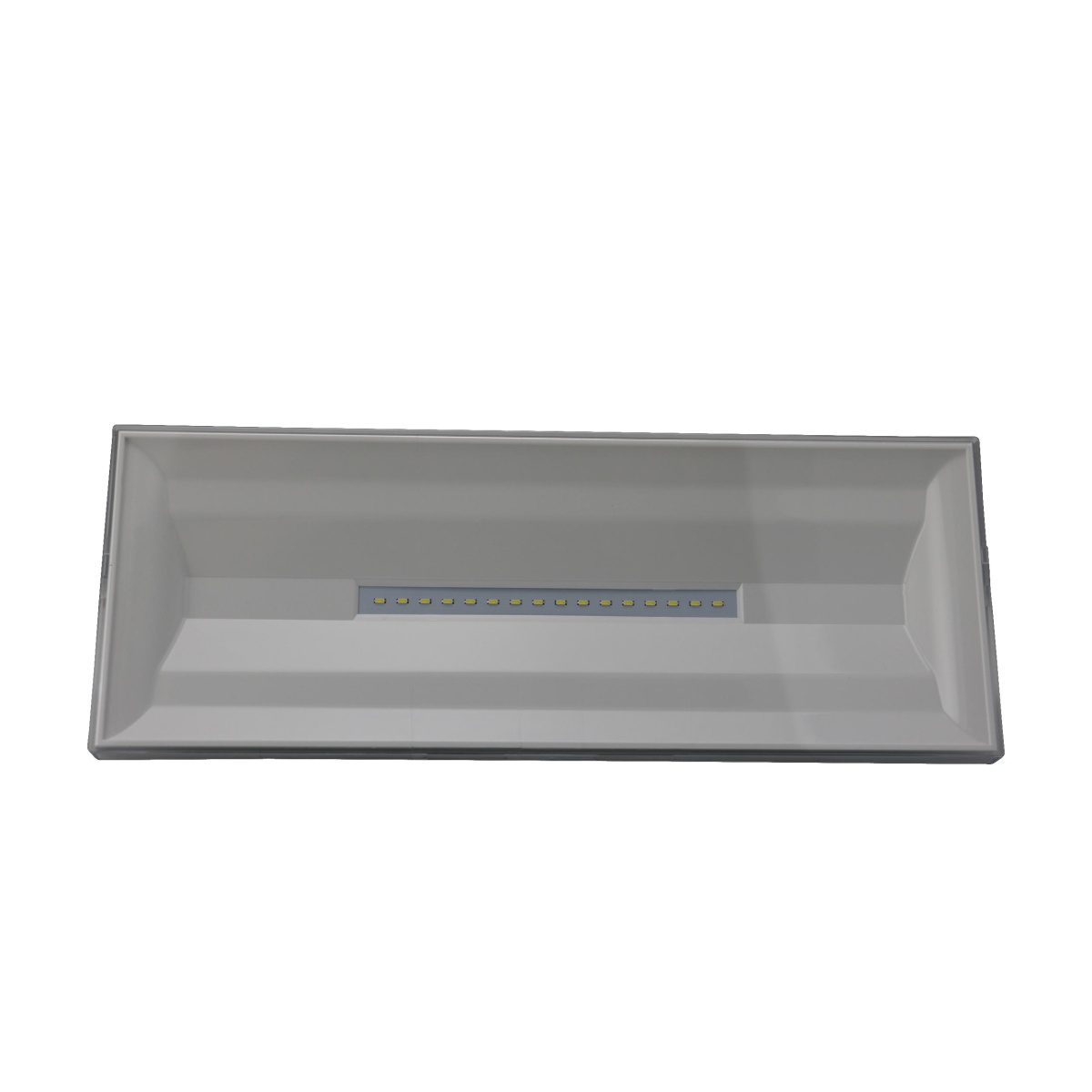 NEXILITE 100lm 1H NM