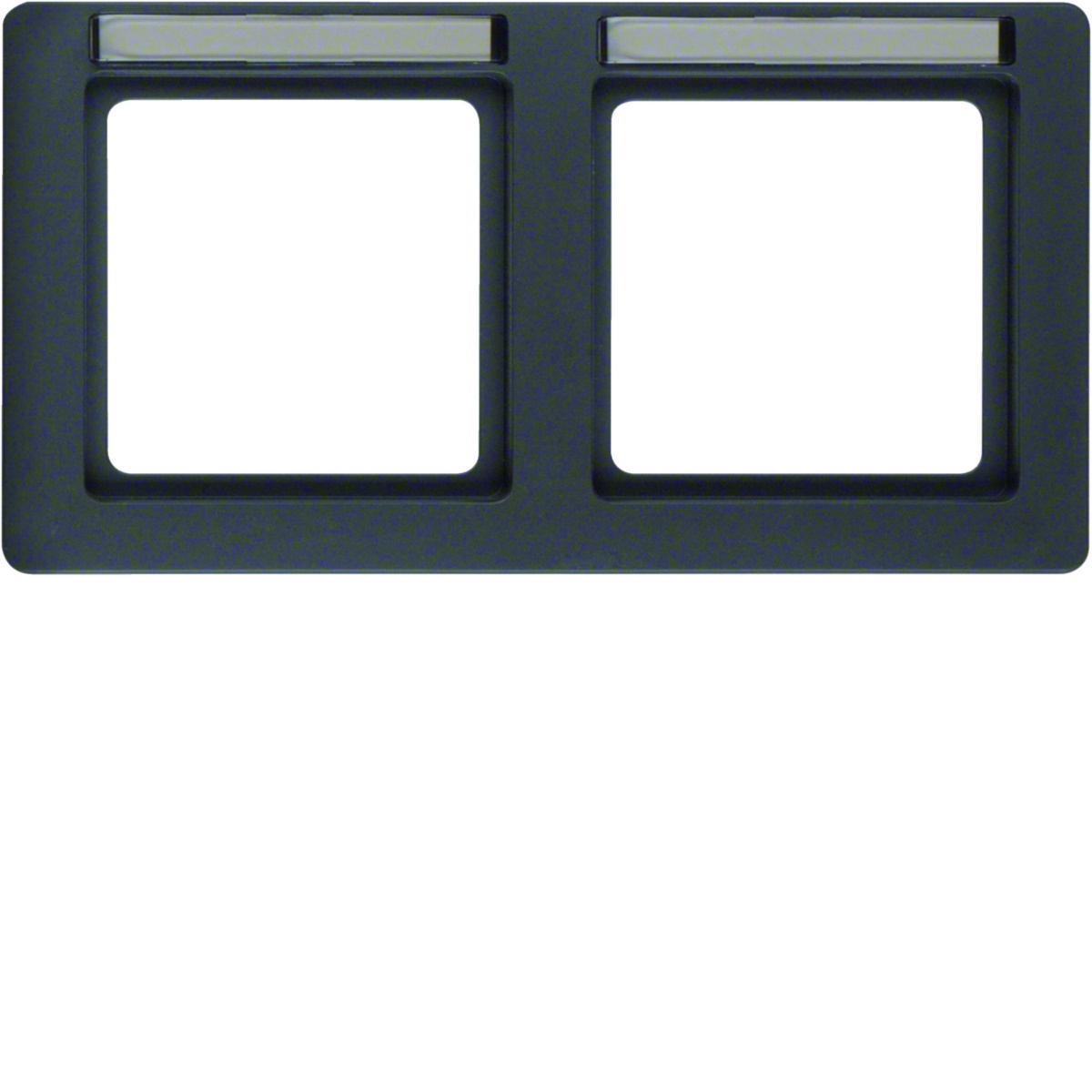 Q.1 - quadro x2 p.-etiq. horiz., antrac