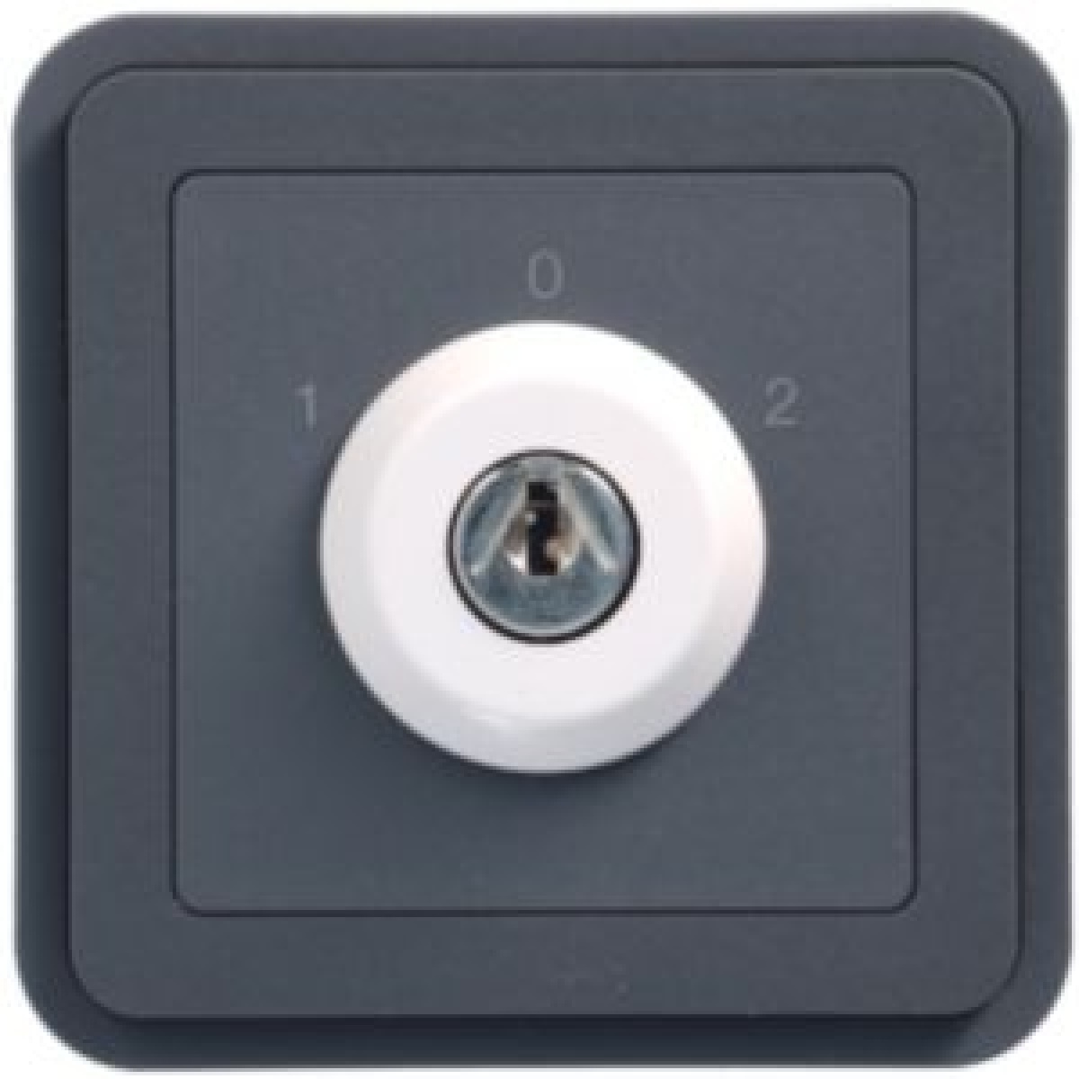 cubyko - Botão chave c3 pos, cinzento