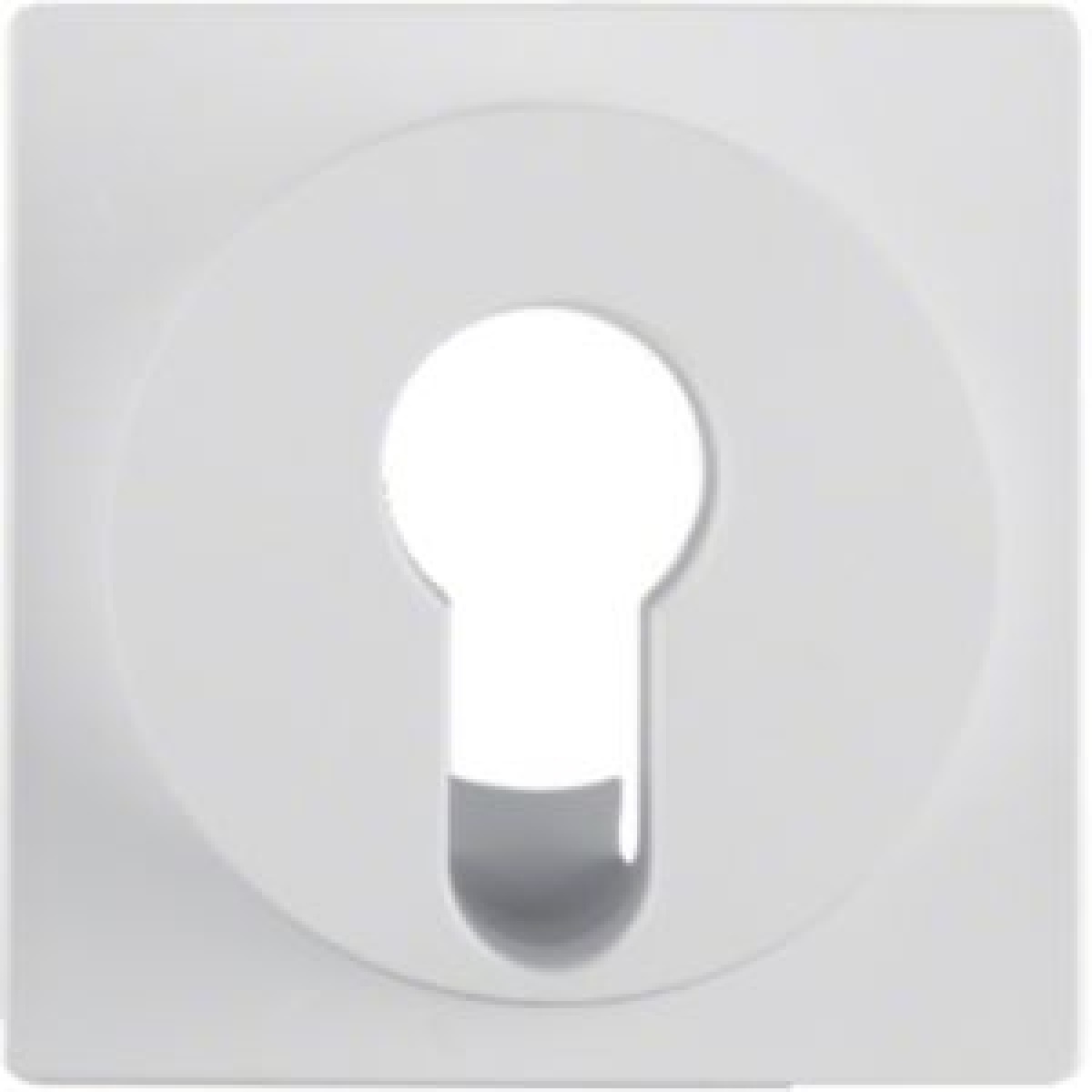 S1Bx  esplh pintbot chave brc mt