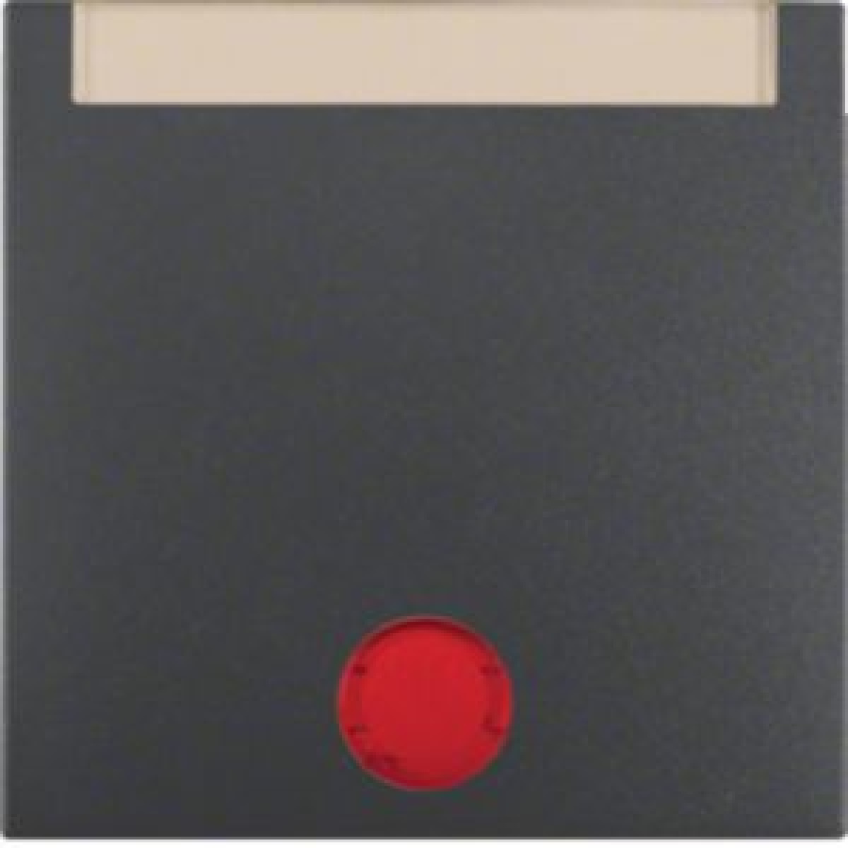 S1Bx  tecla petiq cvisor antr mt