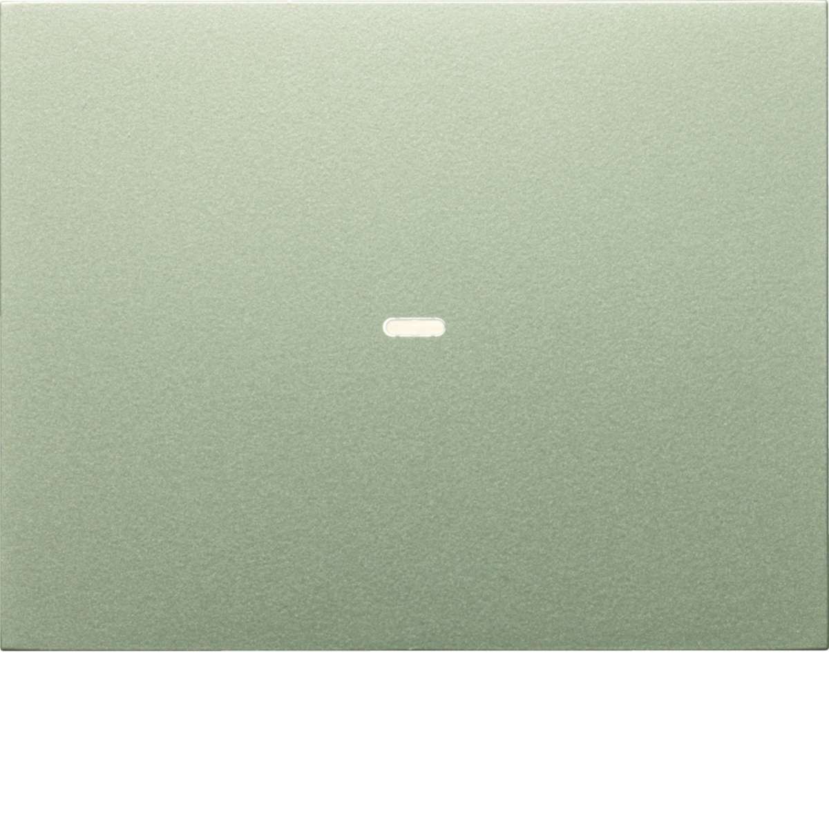 Tampa p BP KNX K.x 1 tecla c BCU, inox
