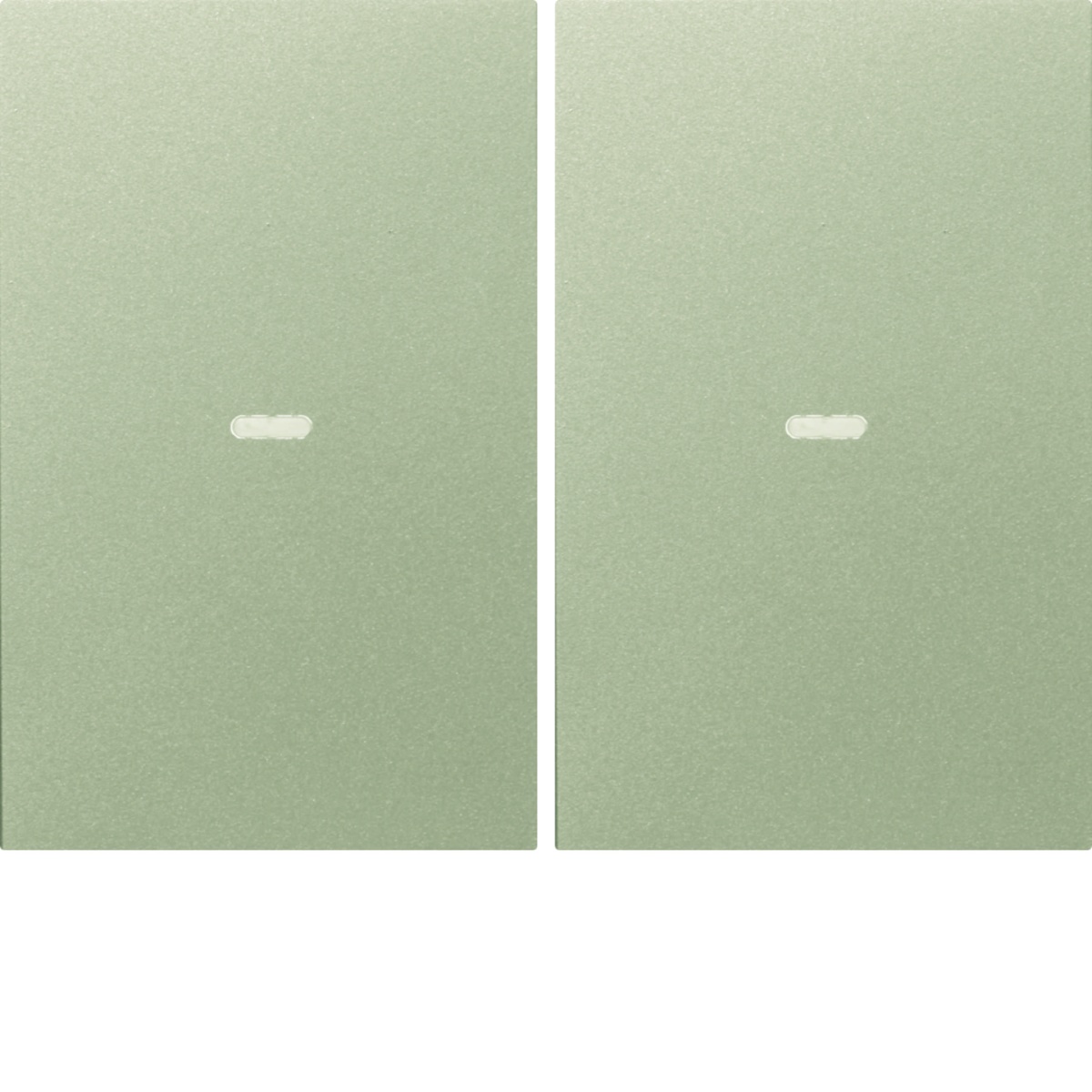 Tampa p BP KNX K.x 2 teclas cBCU, inox