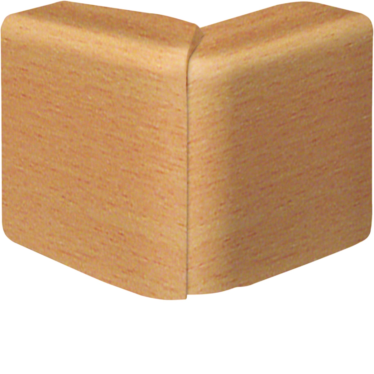 Ângexterior var SL20055 faia