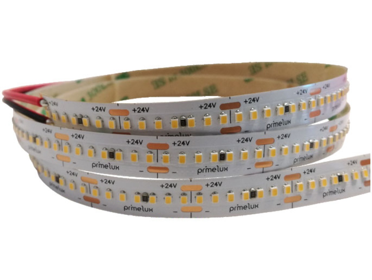 Fita LED Zetta 24W/m 6500K