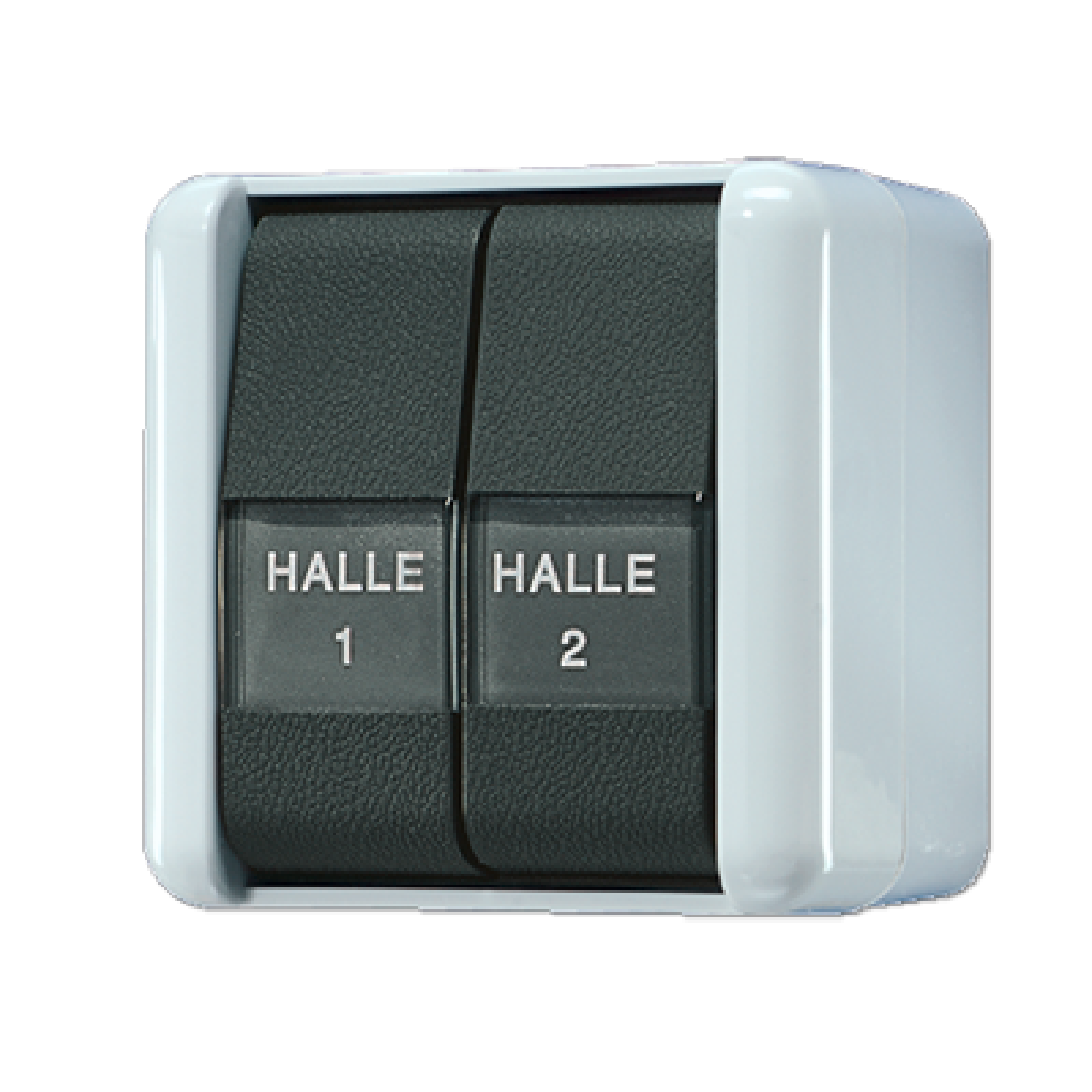 Interruptor doble con inscr. WG 800